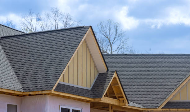 Best Roof Insulation Installation  in Elwood, IL